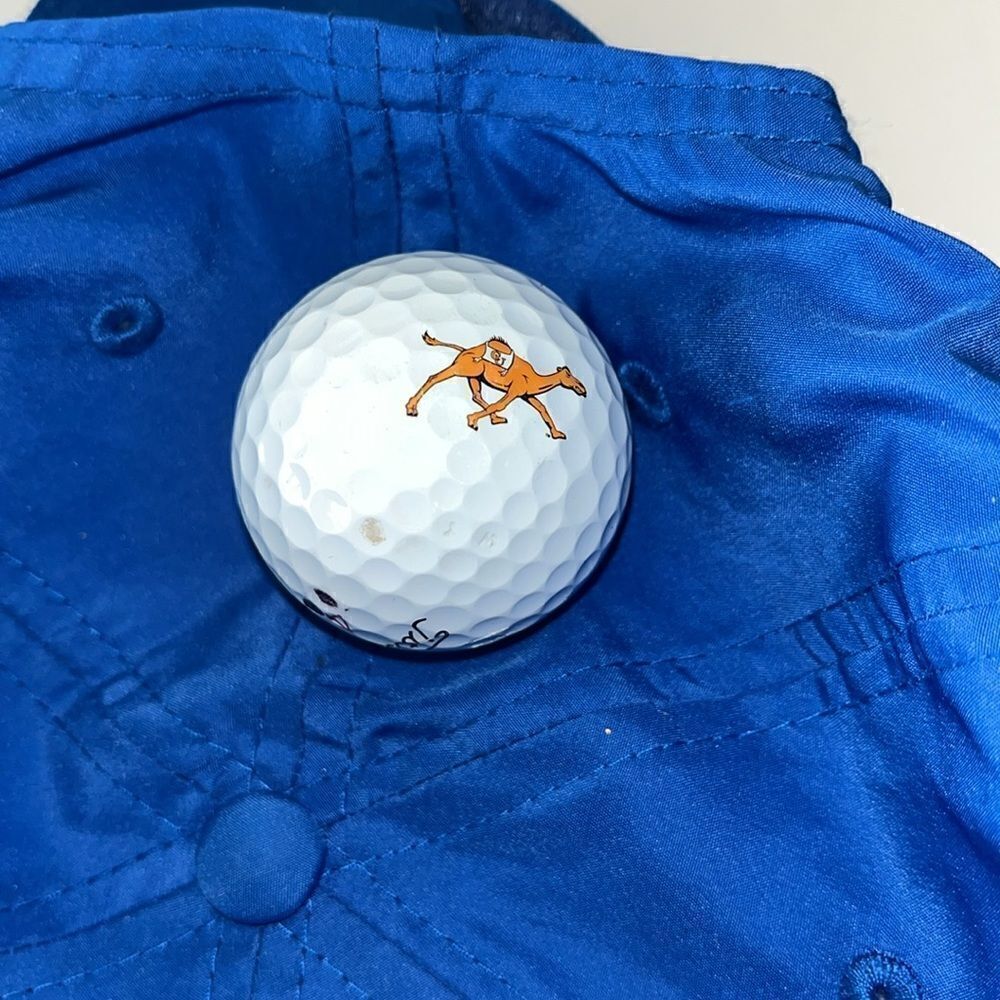 Titleist Prov1x lightly used Campbell University Camels logo golf ball